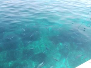 Caprera, Cala Cotticcio Tahiti
